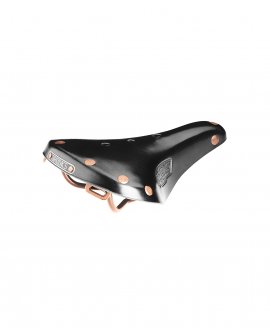 Brooks B17 Special Short