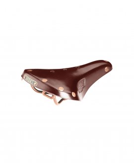 Brooks B17 Special Short