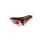 Brooks B17 Special Short