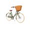 Pashley Britannia