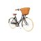 Pashley Britannia