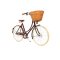 Pashley Britannia