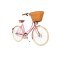 Pashley Britannia