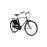 Pashley Roadster Classic