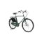 Pashley Roadster Classic