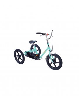 Pashley Robin